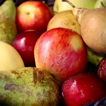 豪艾塔斯普公园酒店