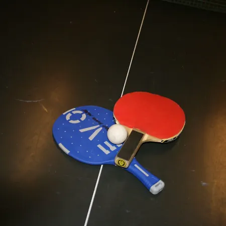 酒店 豪艾塔斯普公园酒店 3*