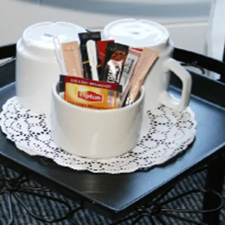 酒店 豪艾塔斯普公园酒店